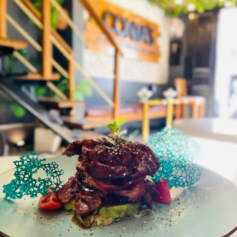 Cerdo Teriyaki - Imagen principal